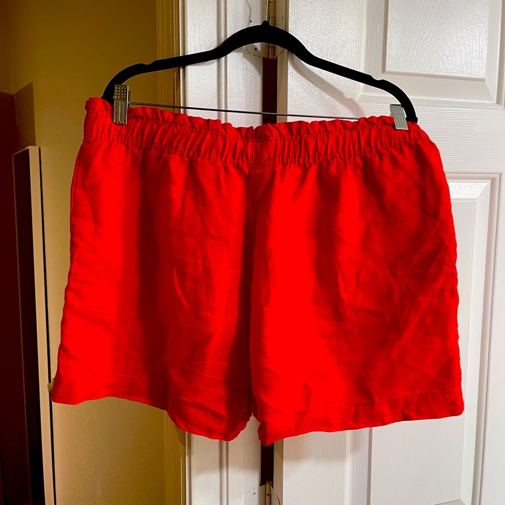 Shorts - Picture 3 of 4